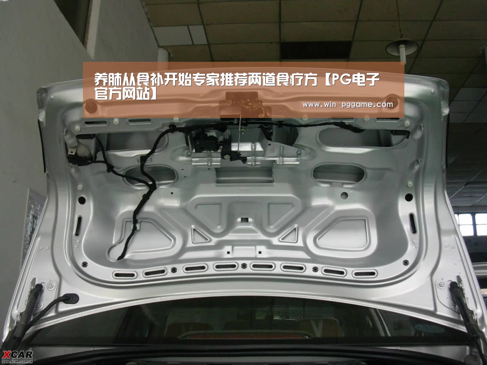 养肺从食补开始专家推荐两道食疗方【PG电子官方网站】