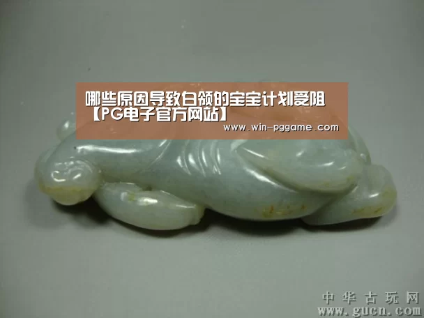 哪些原因导致白领的宝宝计划受阻【PG电子官方网站】(图3) PG Soft