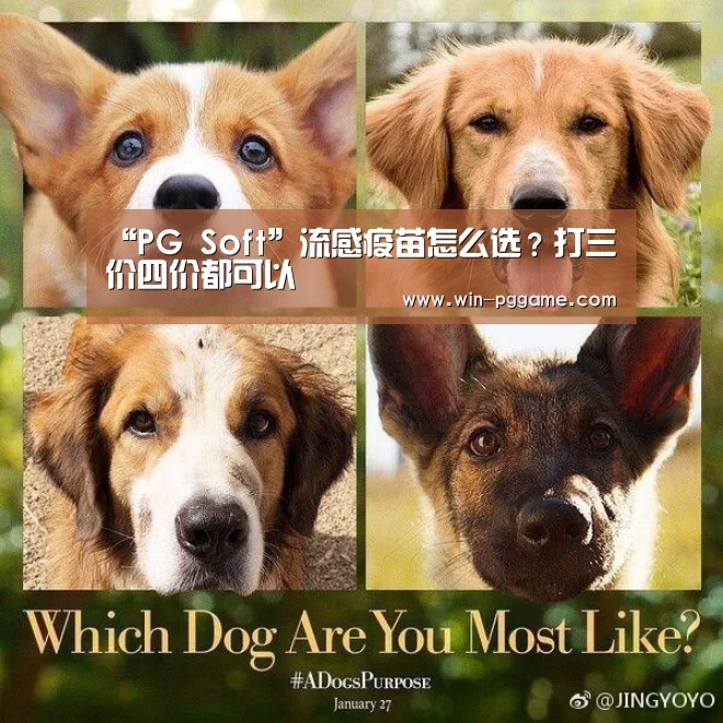 “PG Soft”流感疫苗怎么选?打三价四价都可以(图3) PG电子官方网站