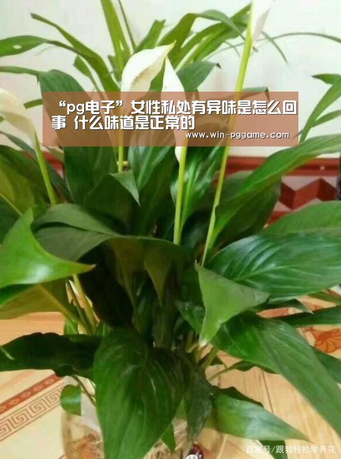 “pg电子”女性私处有异味是怎么回事 什么味道是正常的